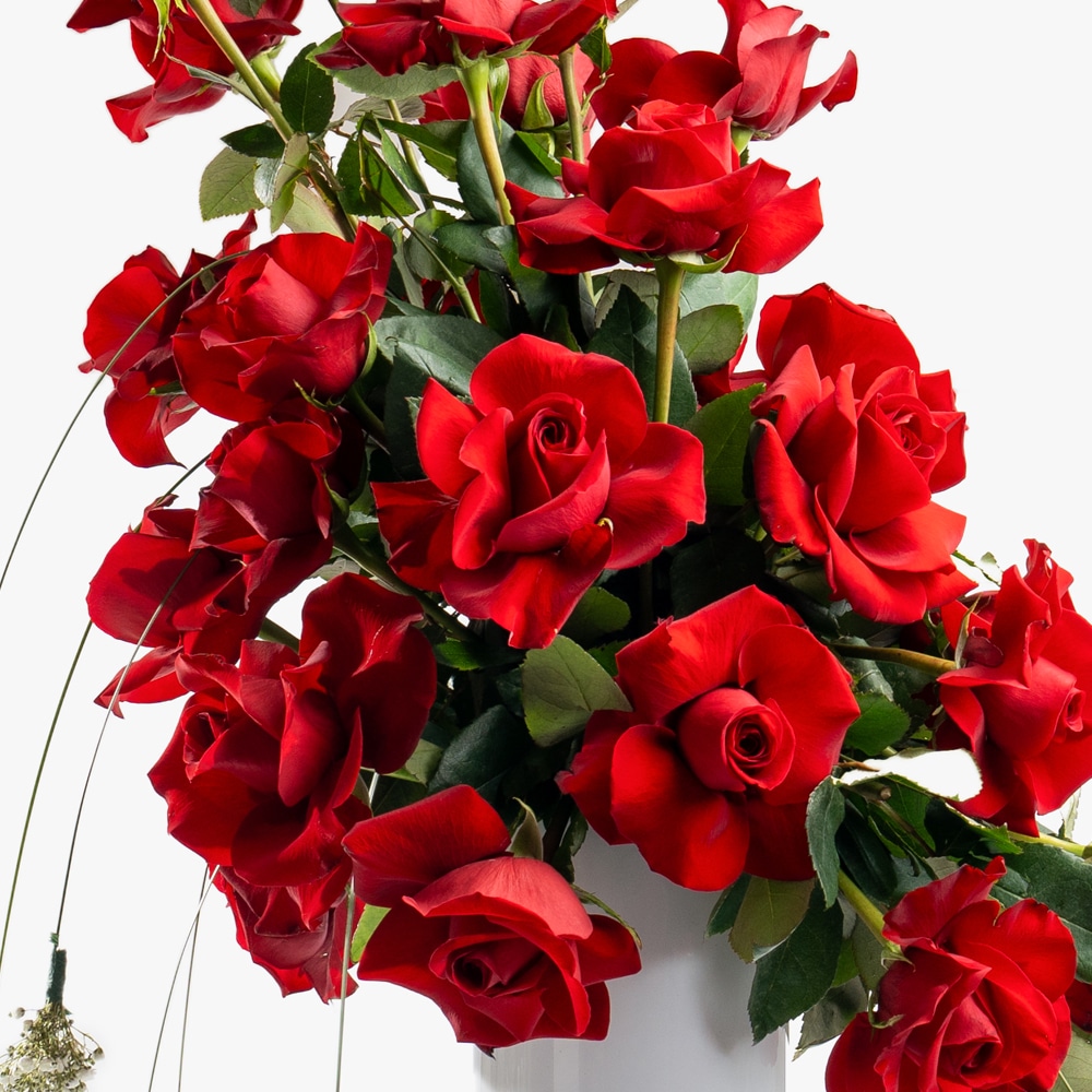 Au 04A.jpf Classic Rose and Gypso Delight