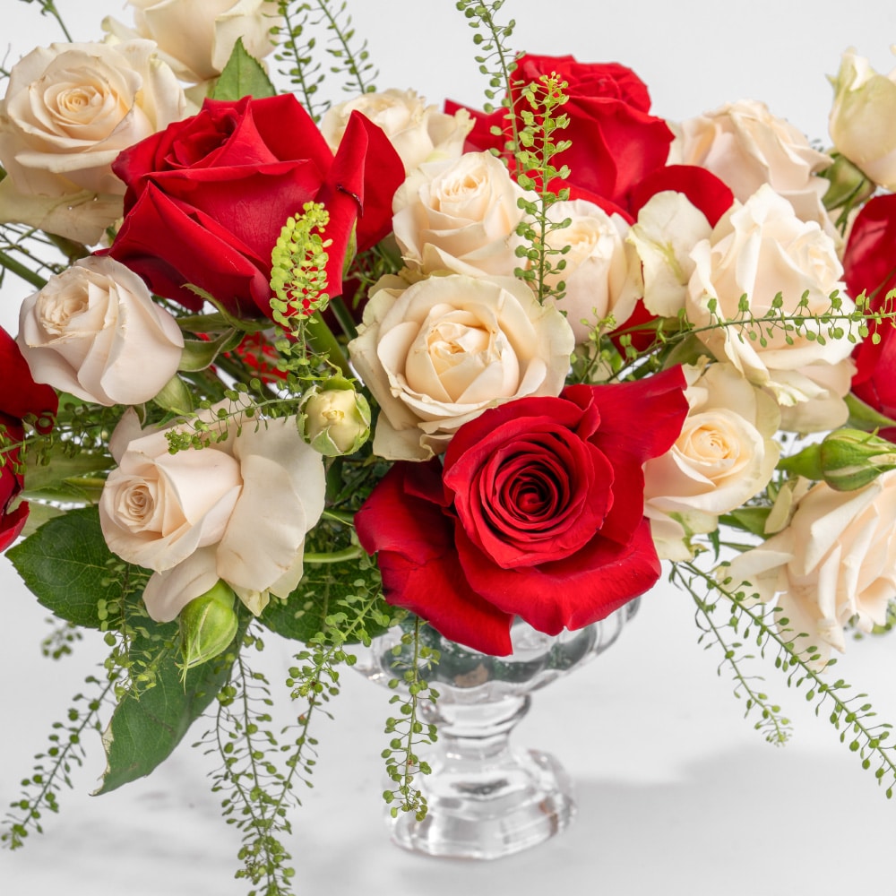 A2 Lovely Red and white Rose Segment in Glass