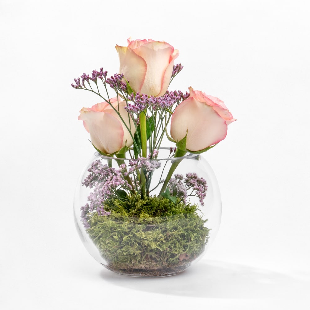 Pink Rose in Glass Pink Rose Terrarium