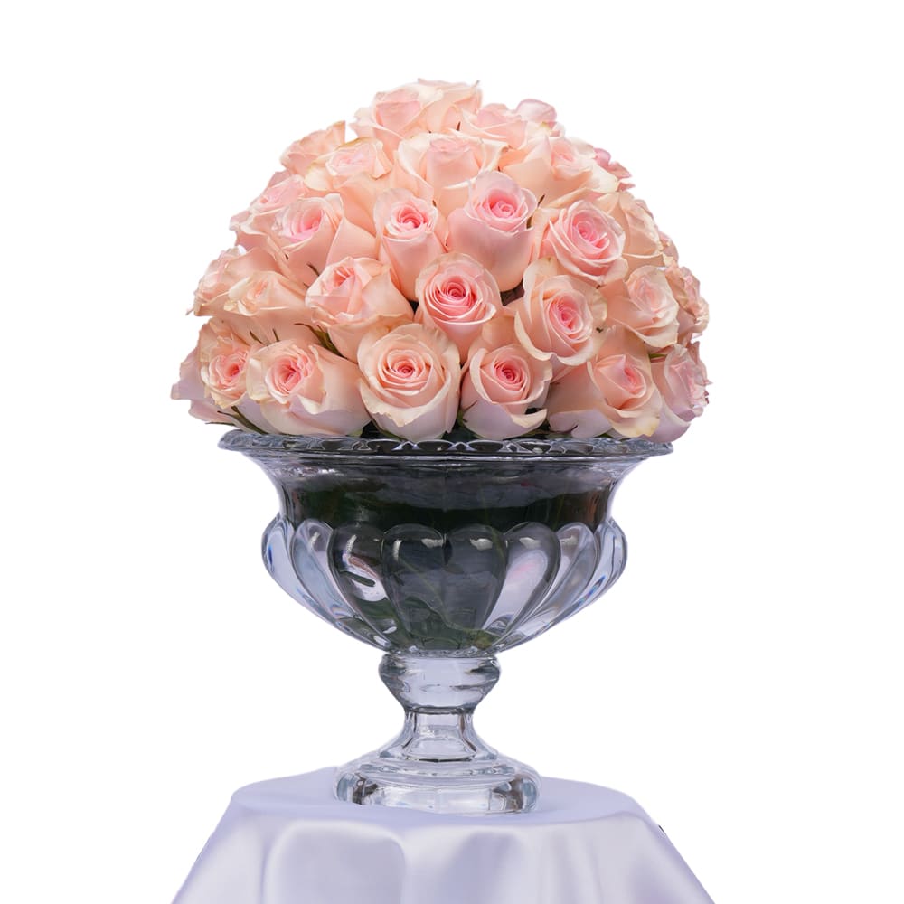 P 01 Elegant 60 Roses Bloom