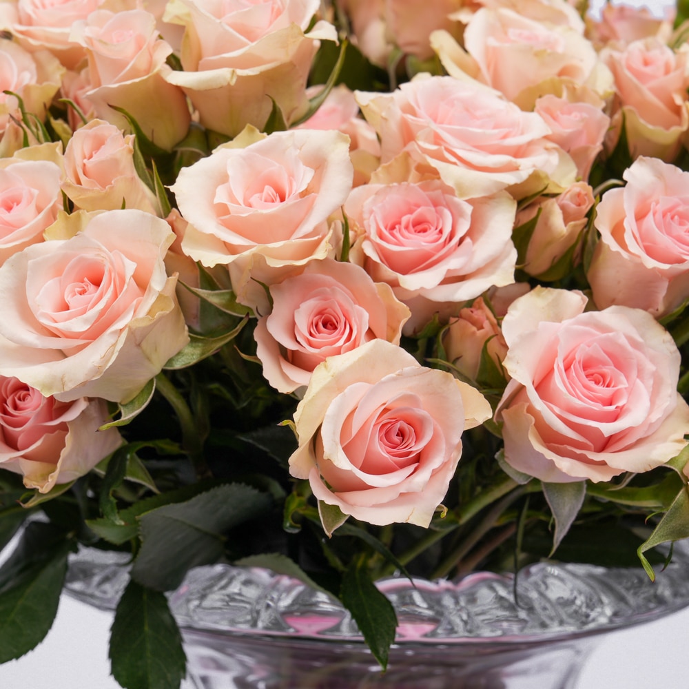 P 02A Pink Baby Roses in Elegant Glass Vase