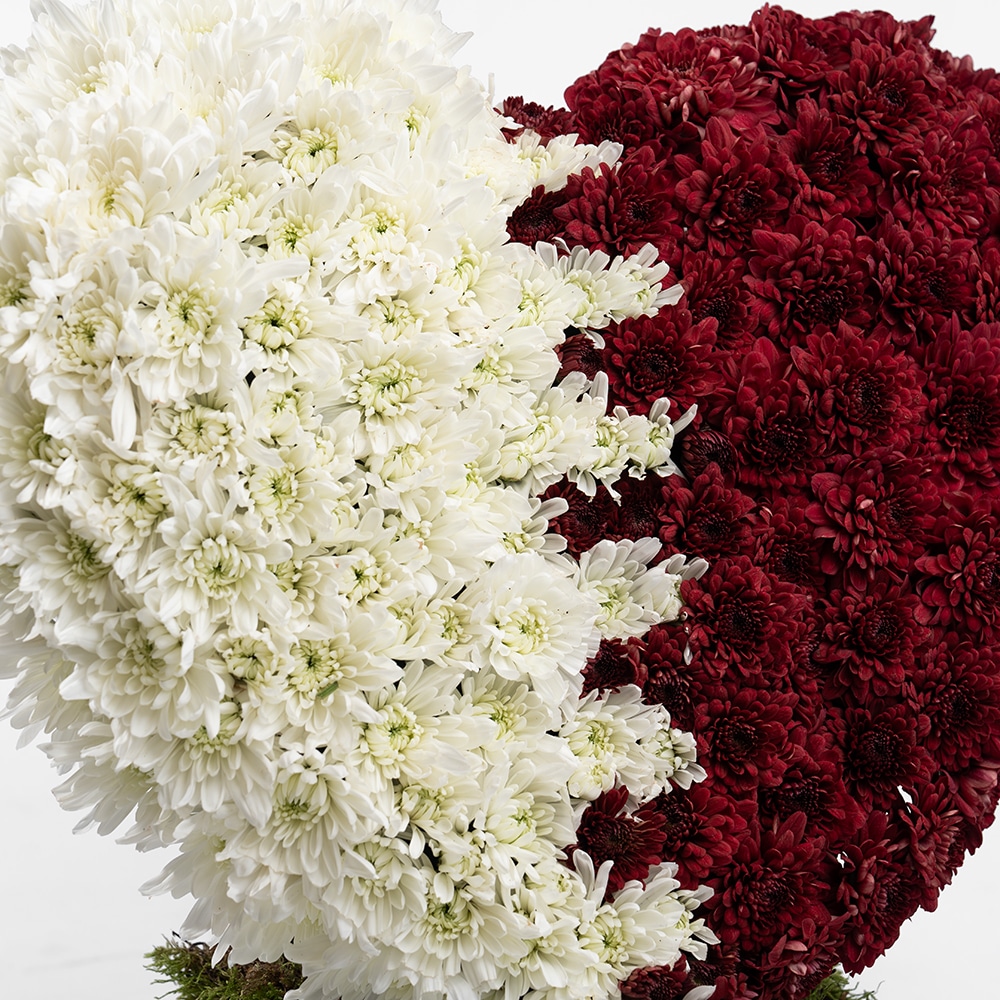1.3 Qatar National Day - Heart Shape Flag Arrangement