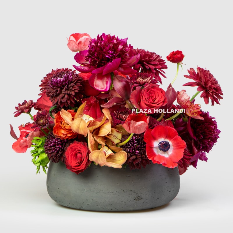 2 Maroon Reverence Bouquet in Pot