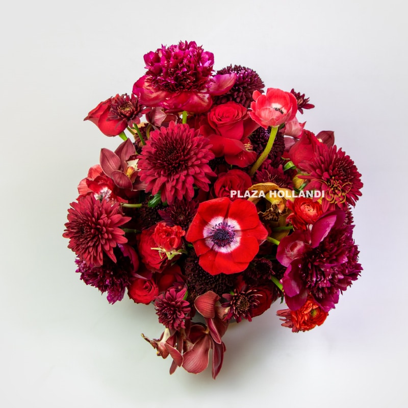 2.6 Maroon Reverence Bouquet in Pot