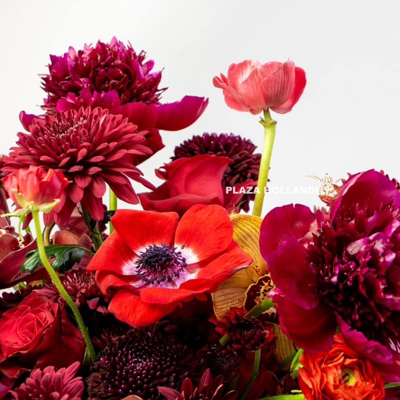 3.1 Maroon Reverence Bouquet in Pot