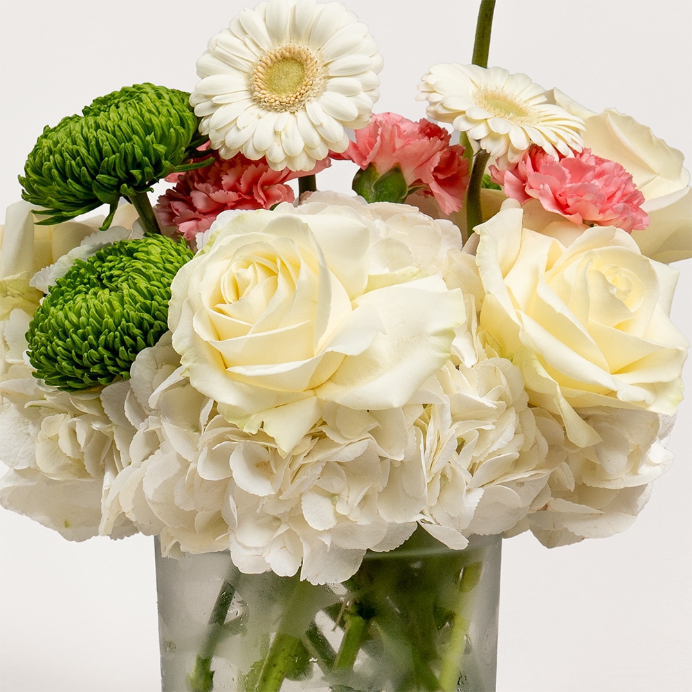 5.2 Pure Tranquility White Hydrangeas and Green Chrysanthemums in Vase