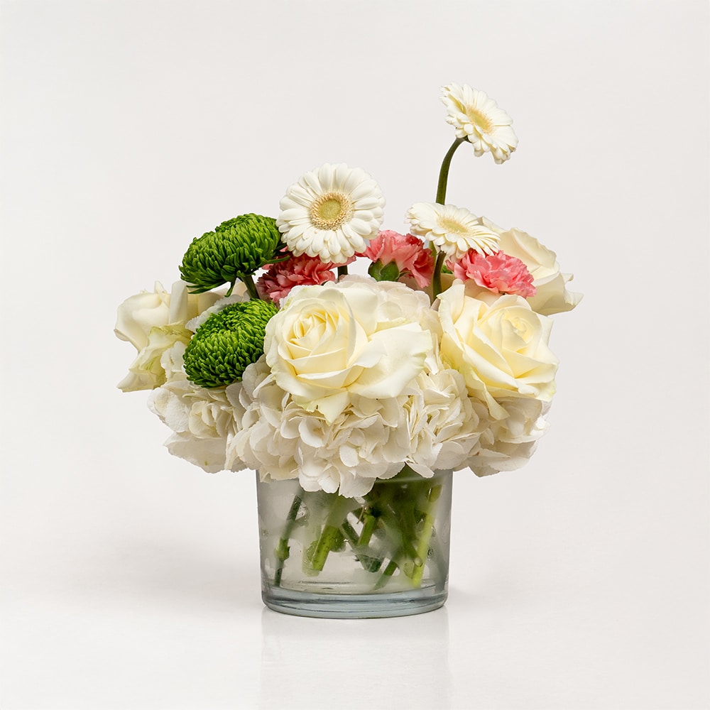 5 Pure Tranquility White Hydrangeas and Green Chrysanthemums in Vase
