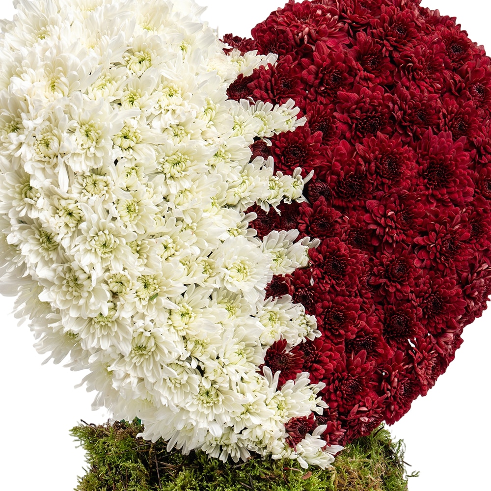 heart Shape Closeup Qatar National Day - Heart Shape Flag Arrangement