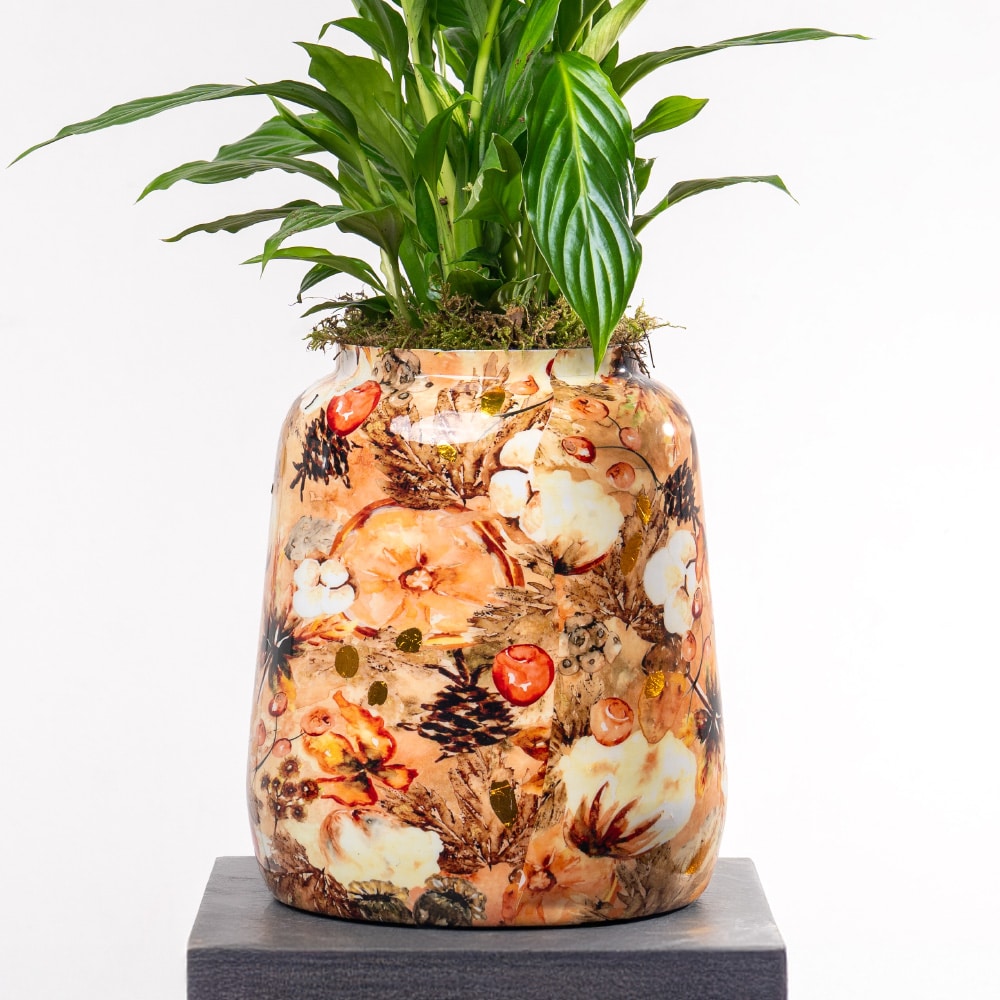 10.3 Spathiphyllum with Metal Planter - 70 cm Tall