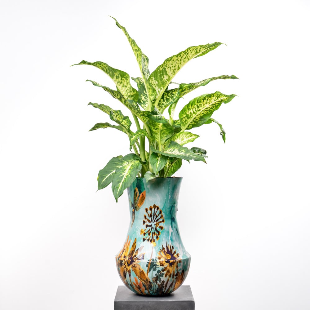 Dieffenbachia in Metal Pot - 85 cm Dieffenbachia in Metal Pot - 85 cm