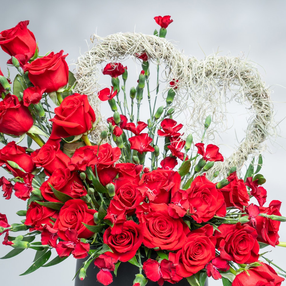A14.2 Velvet Red Heart: Roses, Spray Carnation & Air Plant in Black Pot (50 cm)