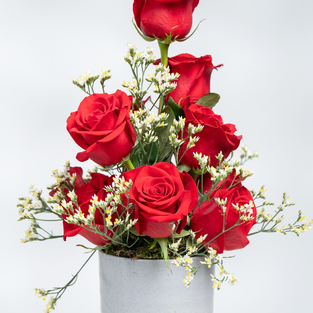 A24.1 Red Roses, White Limonium in Pot