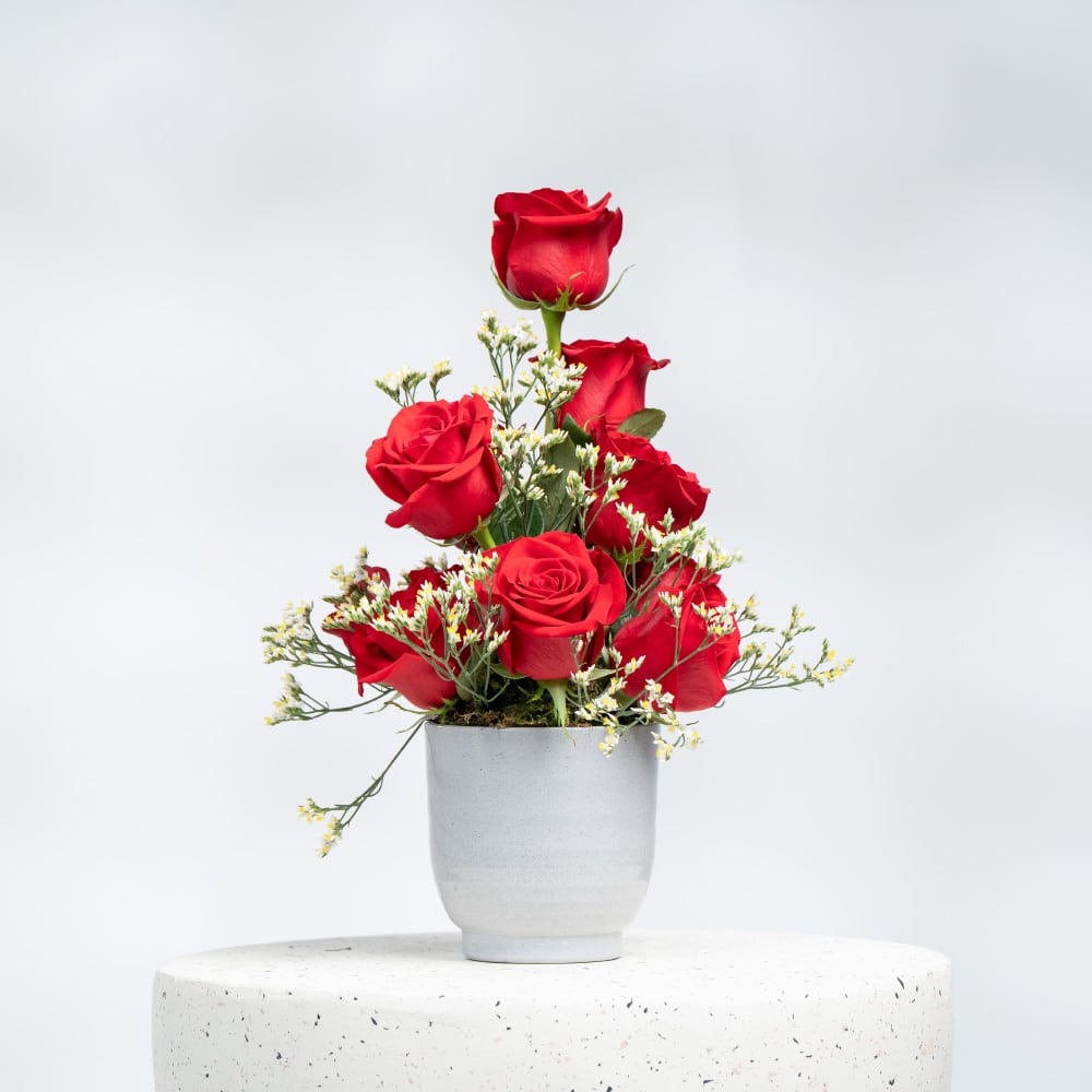 A24 Red Roses, White Limonium in Pot