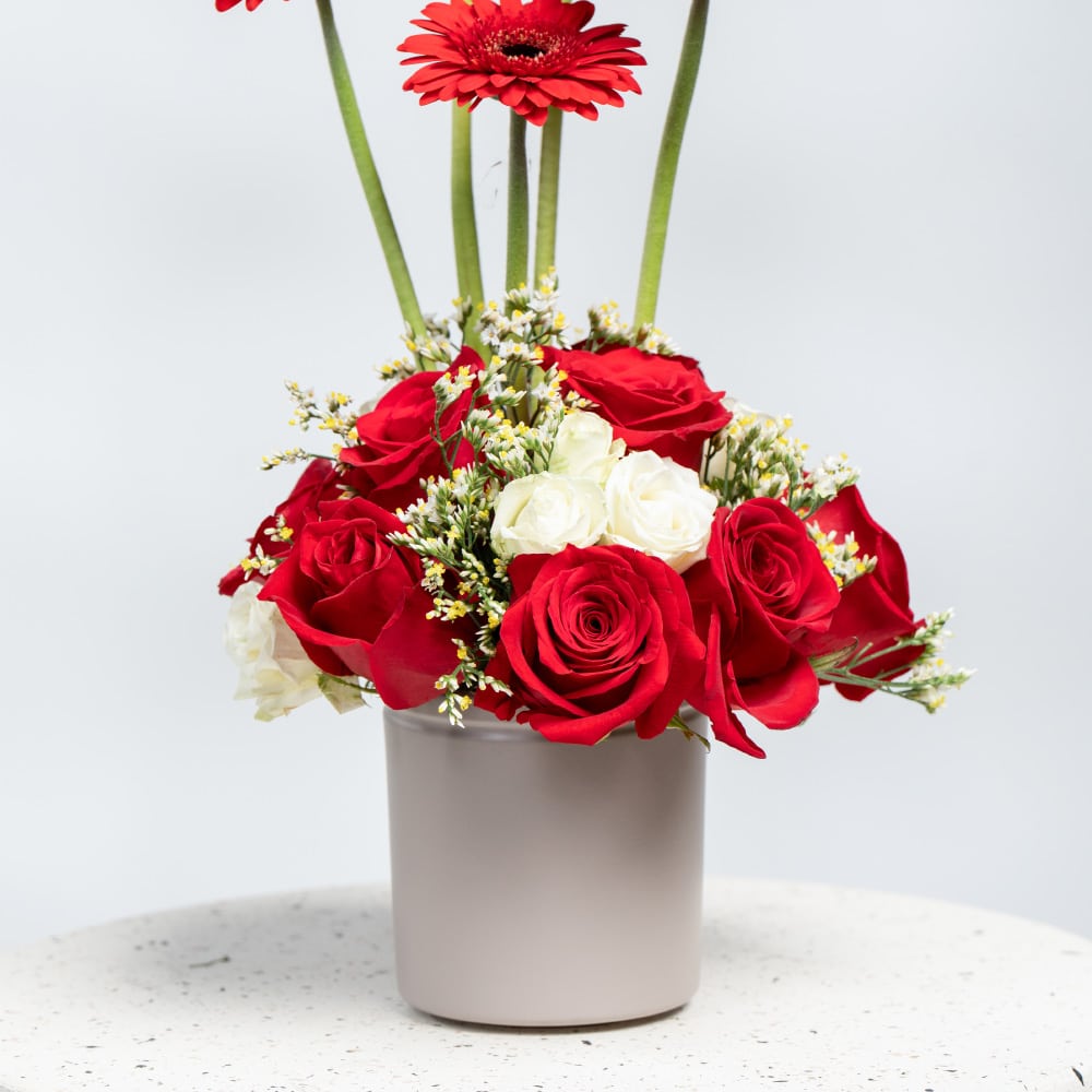A25.1 Elegant Red Gerbera & Rose Bouquet with White Baby Roses & Limonium in Pot (H 40 cm)