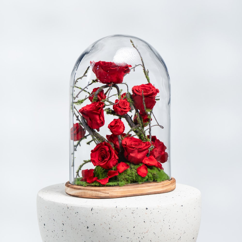 A32 Preserved Roses & Moss Dome with Wooden Base - H 38 cm