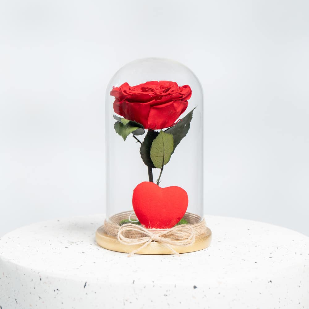 A37.1 a presevered rose in a glass dome