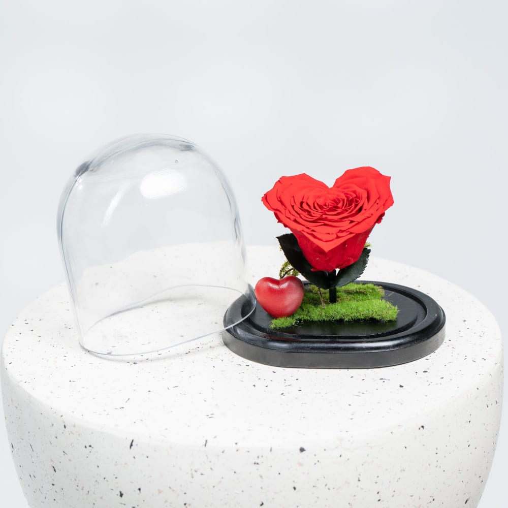 A38.1 Heart-Shaped Preserved Rose in Glass Dome