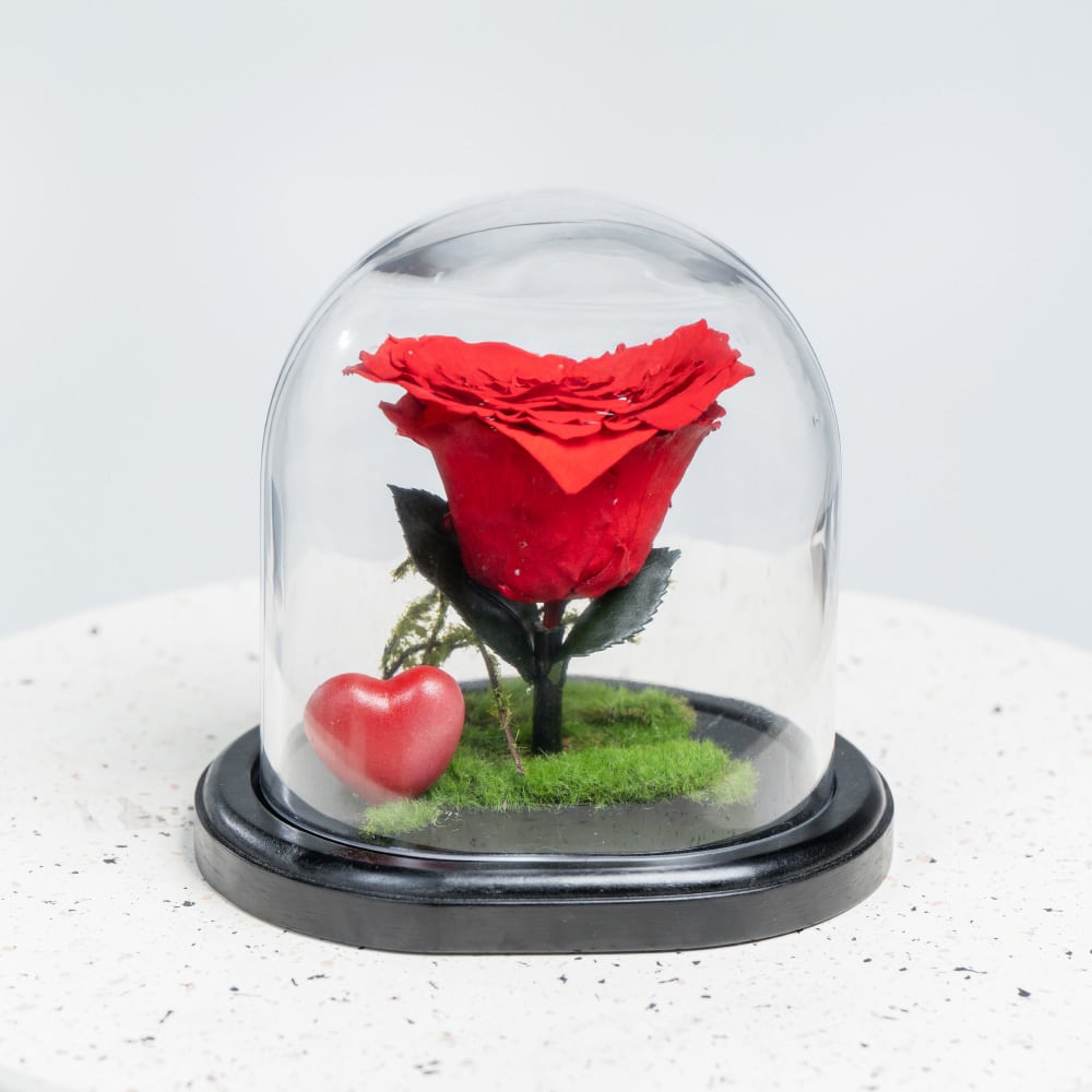 A38 a heart shape rose in a glass dome