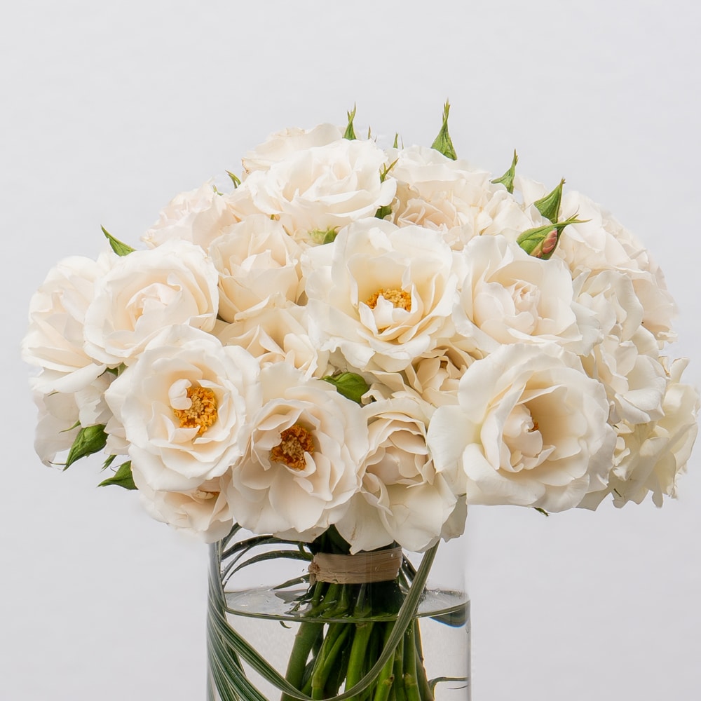 DSC07530-2 White Spray Roses in Glass Vase - 20 CM