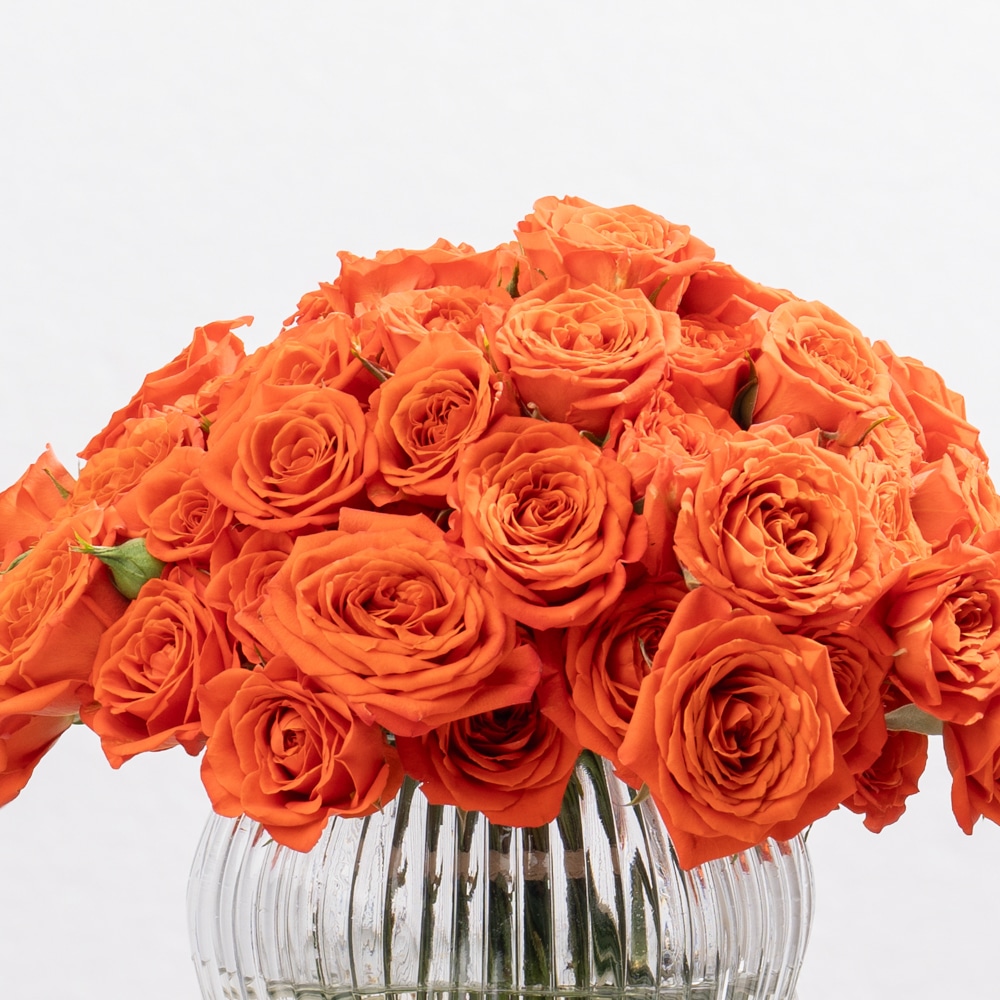 DSC07534-2 Orange Spray Roses in Glass Vase - 23 CM