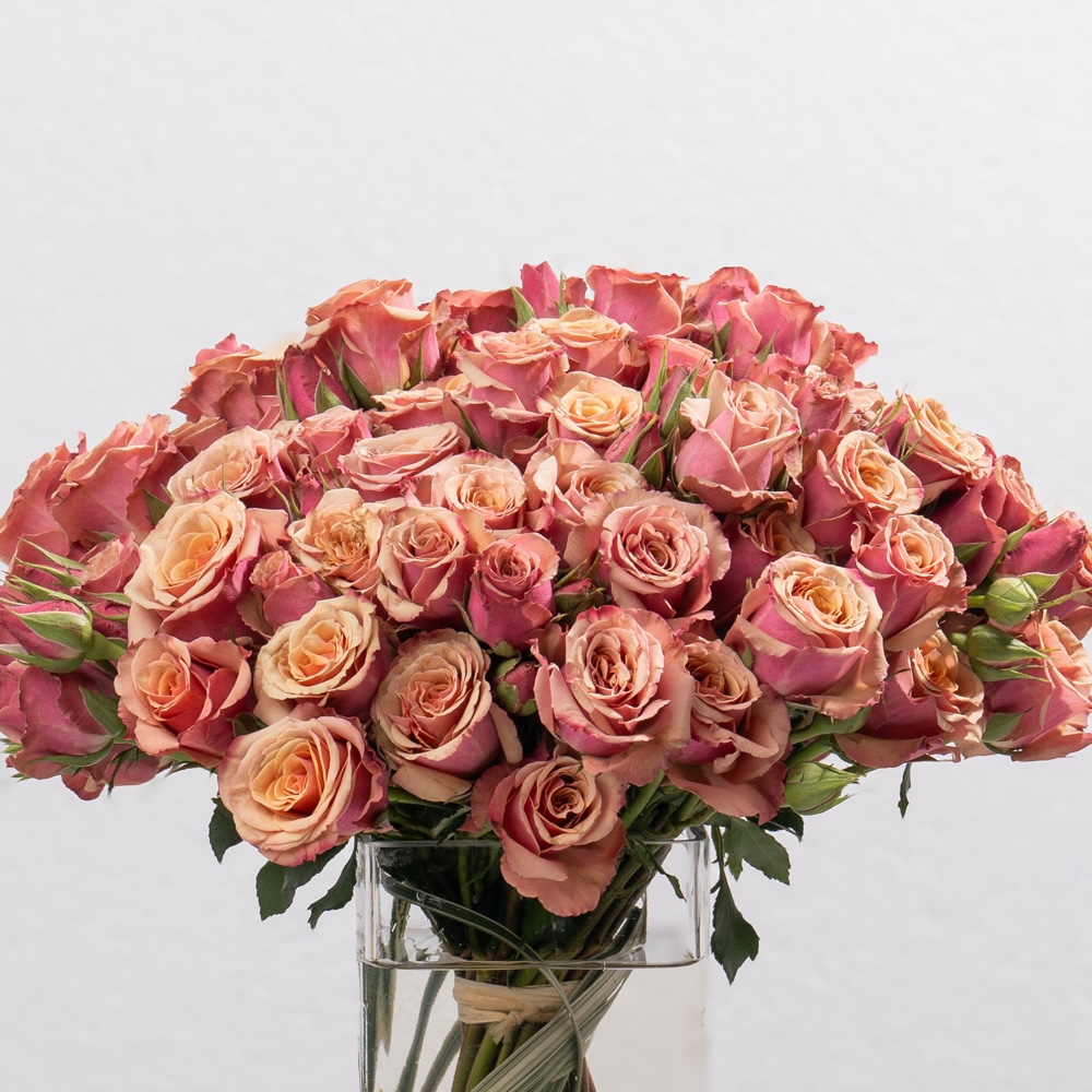 DSC07545-2 Delicate Pink Spray Roses Display in Glass Vase (26 CM)