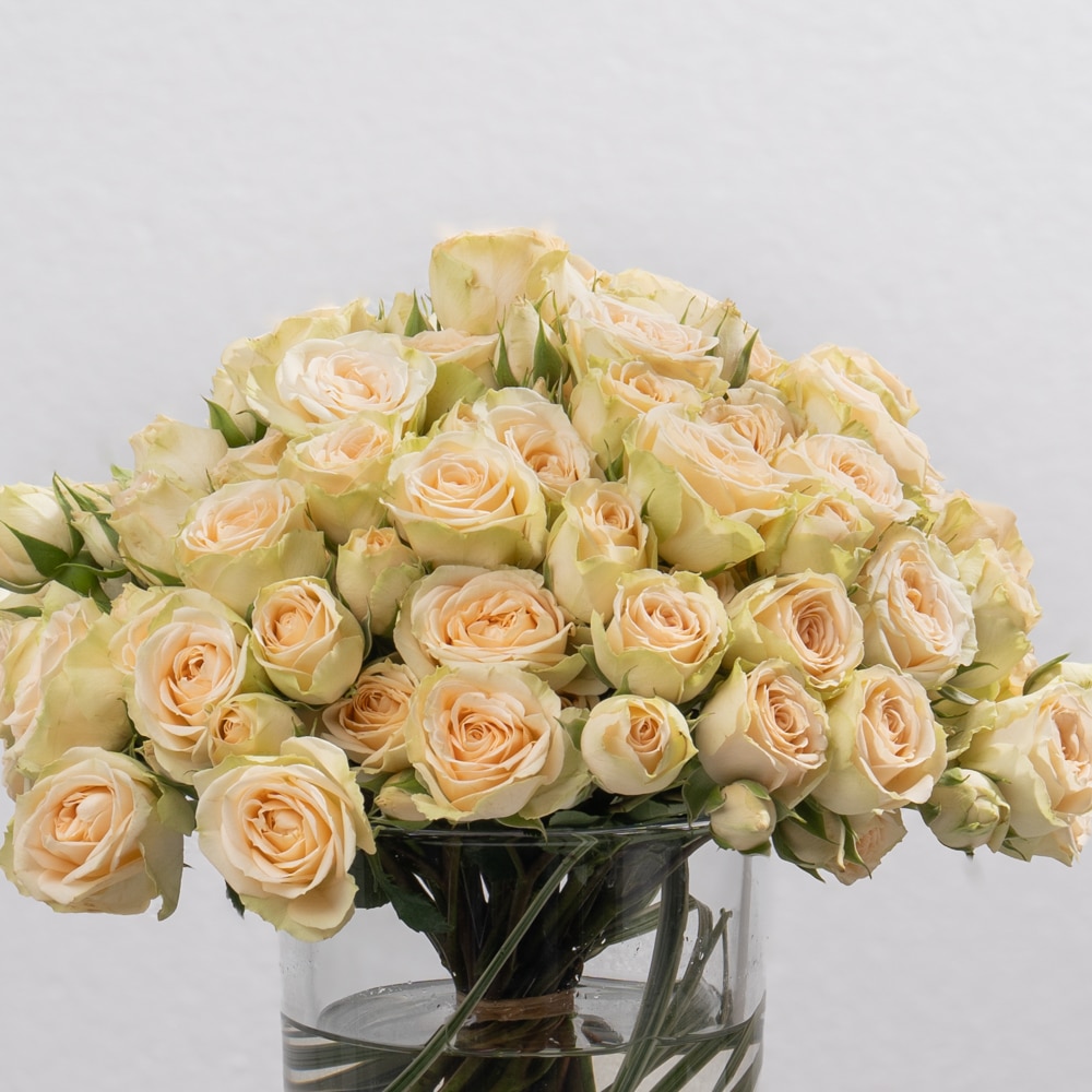DSC07549-2 Peach Spray Roses in Stylish Glass Vase (13 CM)