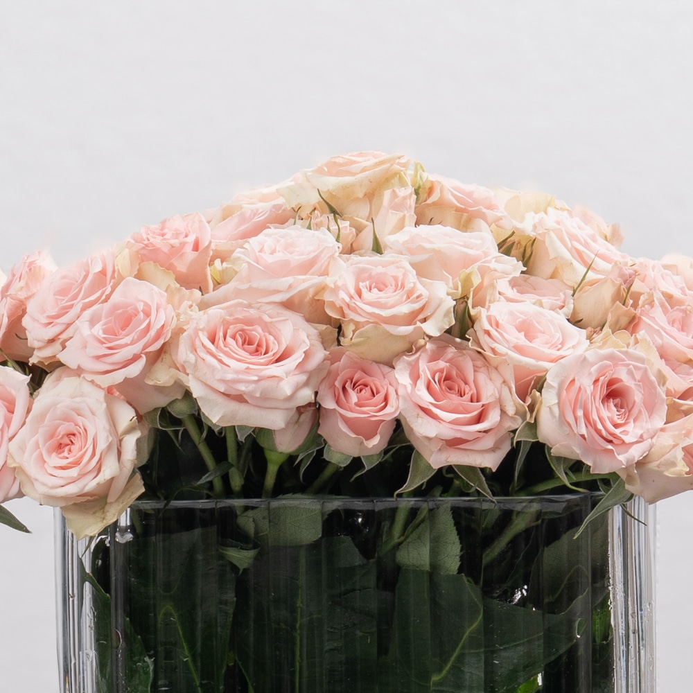 DSC07565-2 Peach Spray Roses in Rectangular Glass Vase - 18 cm