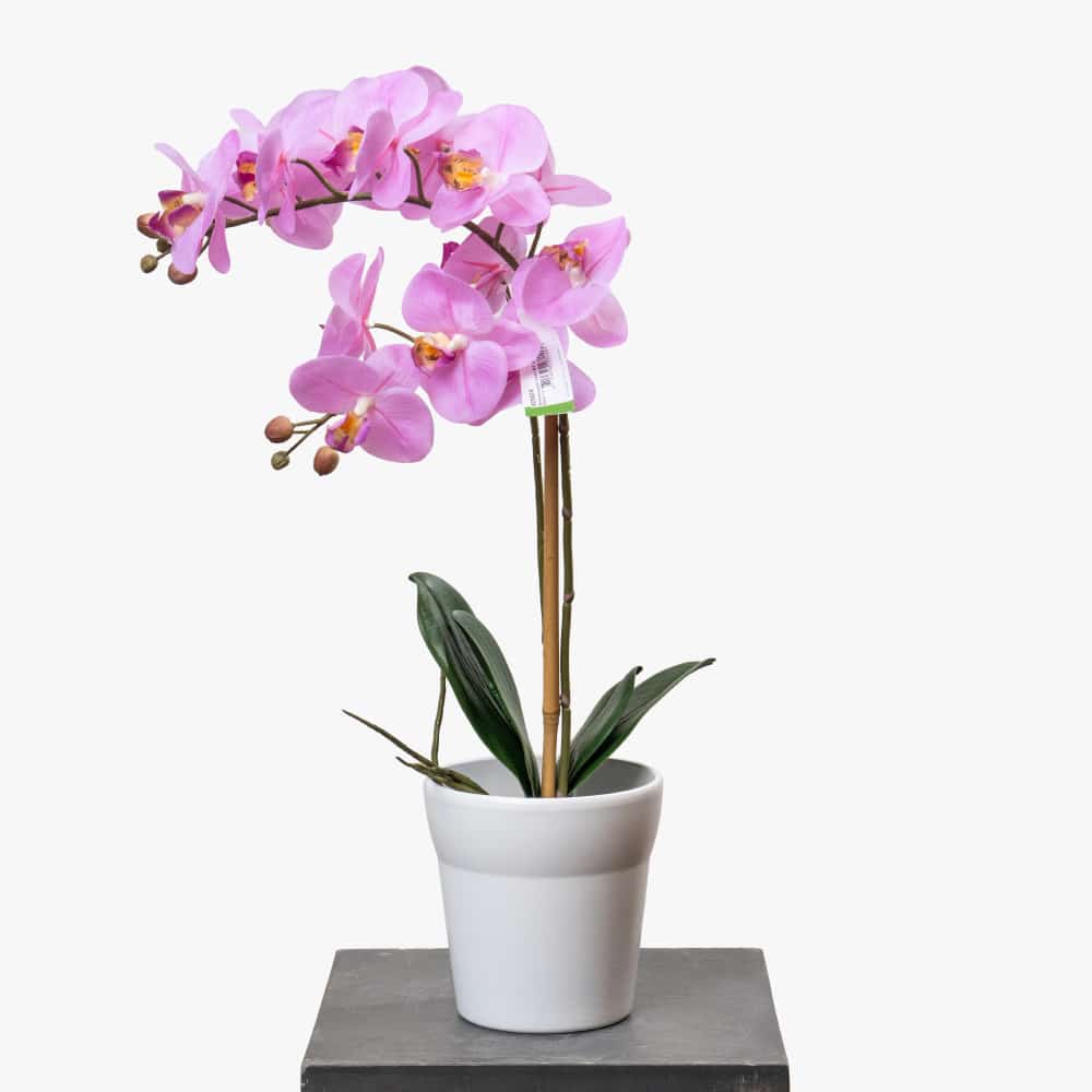 10 artificail plant Artificial Phalaenopsis Orchid