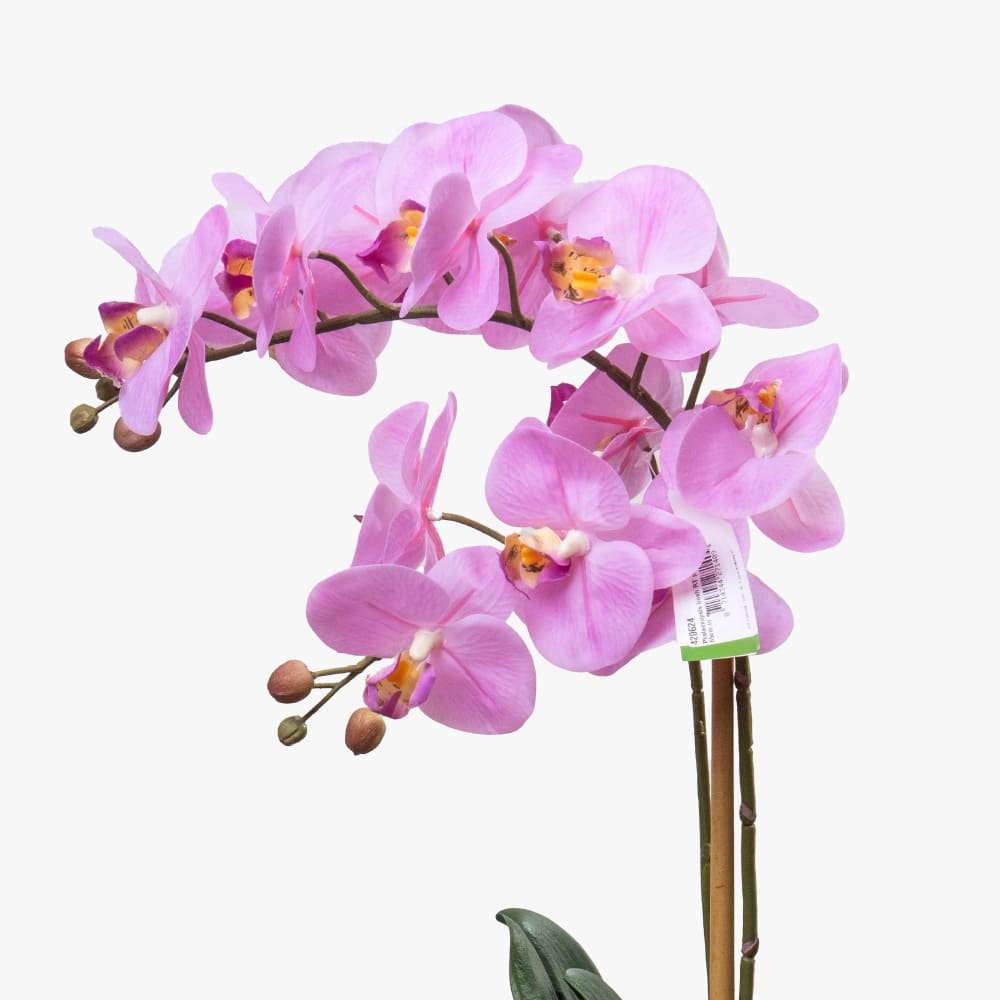 10.2 Artificial Phalaenopsis Orchid