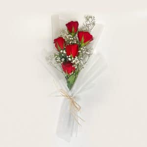 Home 43 Red Rosed in white wrap
