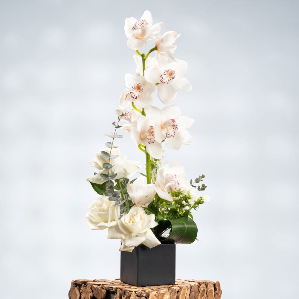 7 Ivory Bliss: White Orchids & Roses with Fresh Eucalyptus