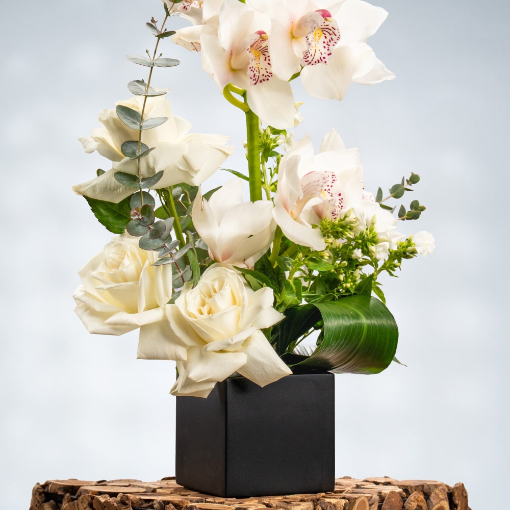 7.2 Ivory Bliss: White Orchids & Roses with Fresh Eucalyptus