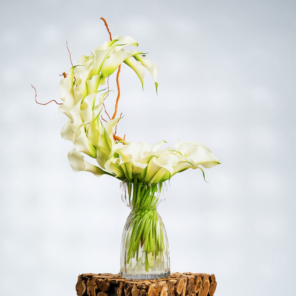 9 Ivory Grace: Calla Lilies & Golden Salix in Glass