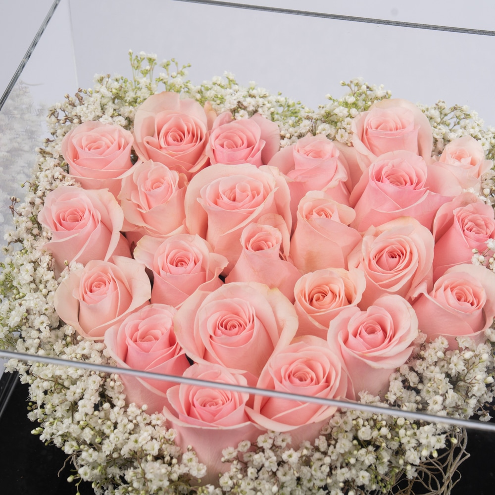 DSC04368 Sweet Harmony: Gypsophila & Pink Roses with Premium Chocolate