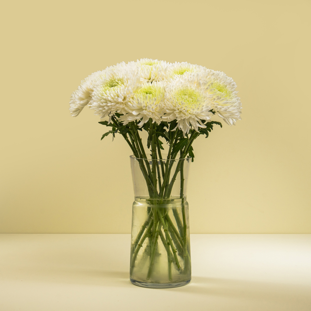 DSC06769 - 02 The Chrysanthemum Charm