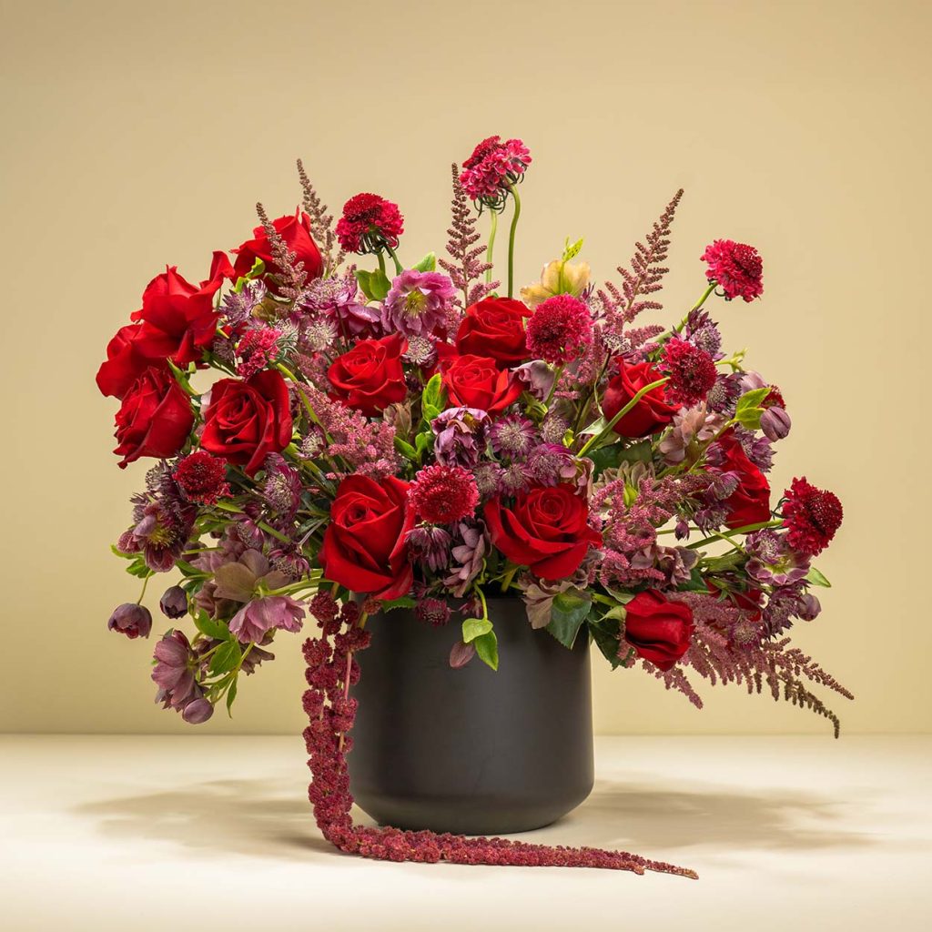 The Meaning of Roses 23 The Meaning of Roses