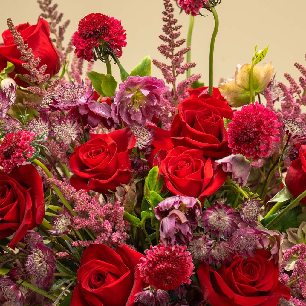 The Meaning of Roses 24 The Meaning of Roses