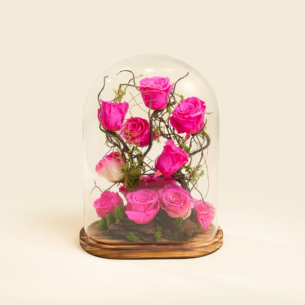 3 Preserved Pink Roses on Wooden Base – Eternal Beauty