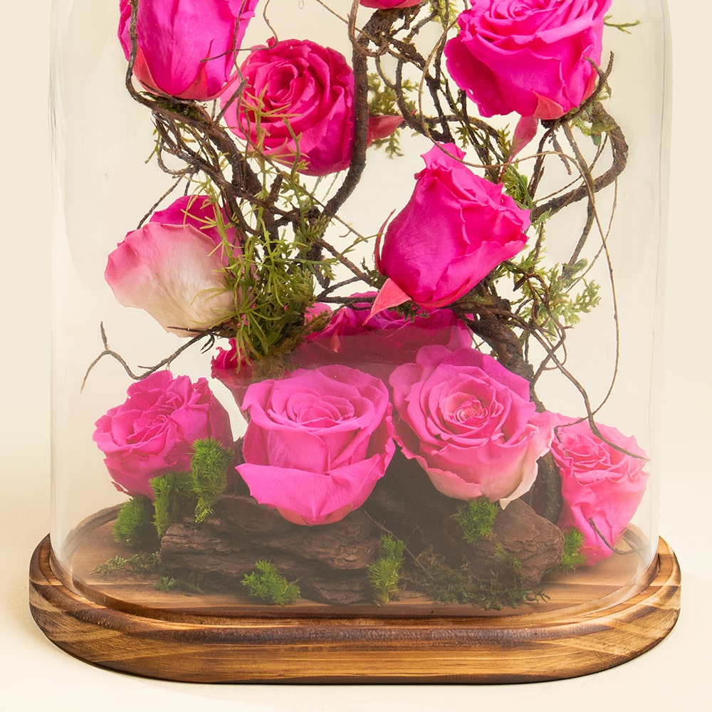 3.2 Preserved Pink Roses on Wooden Base – Eternal Beauty