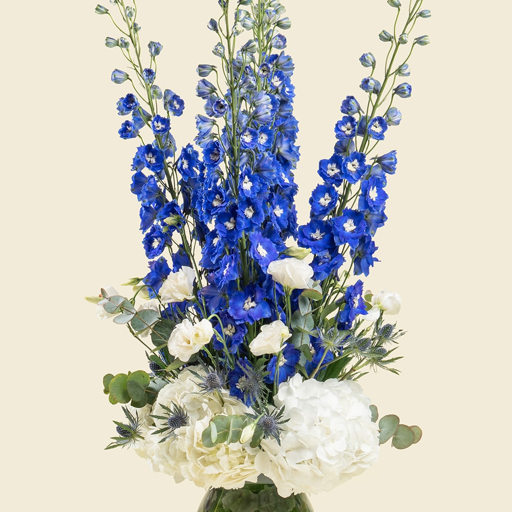 3.2 Graceful Bloom Mix with Delphinium and Hydrangea