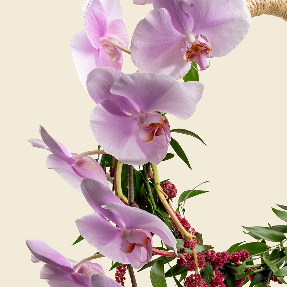 4.2 Elegant Phalaenopsis & Amaranthus Arrangement