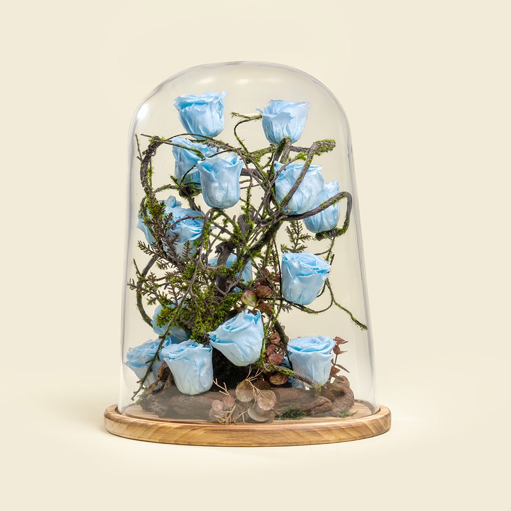 5 Preserved Roses in Wooden Base