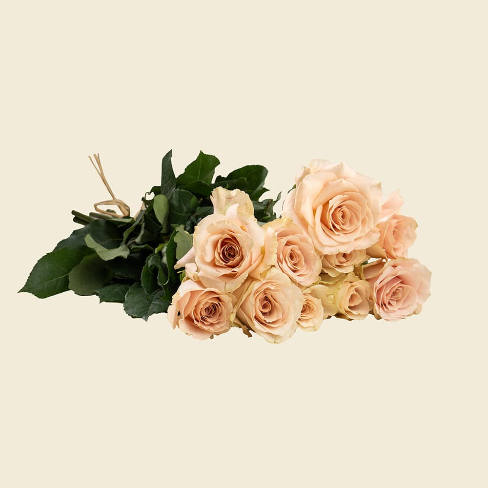 02 10 Dusty Peach Roses Bunch