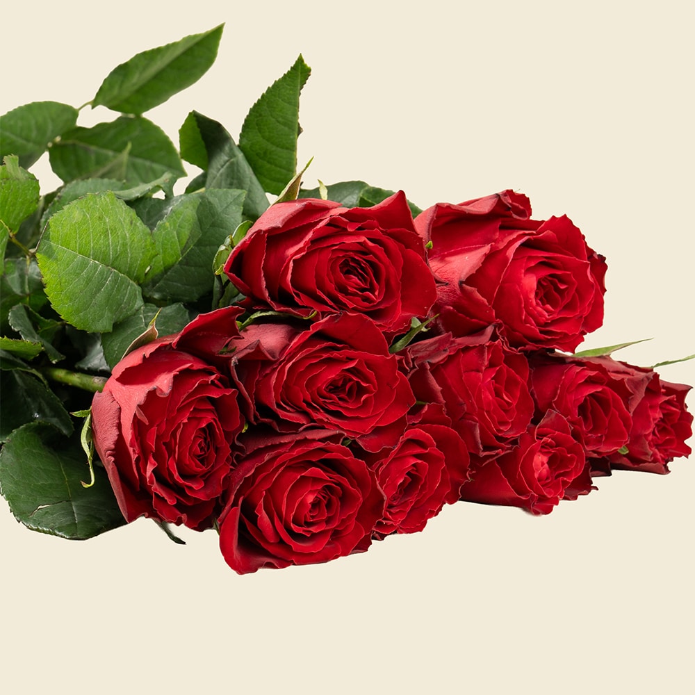 03.1 10 Red Roses Bunch