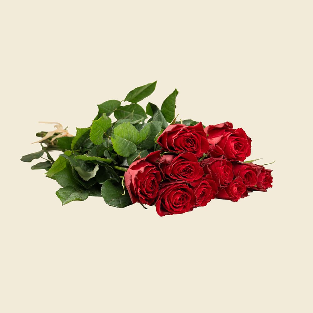 03 10 Red Roses Bunch