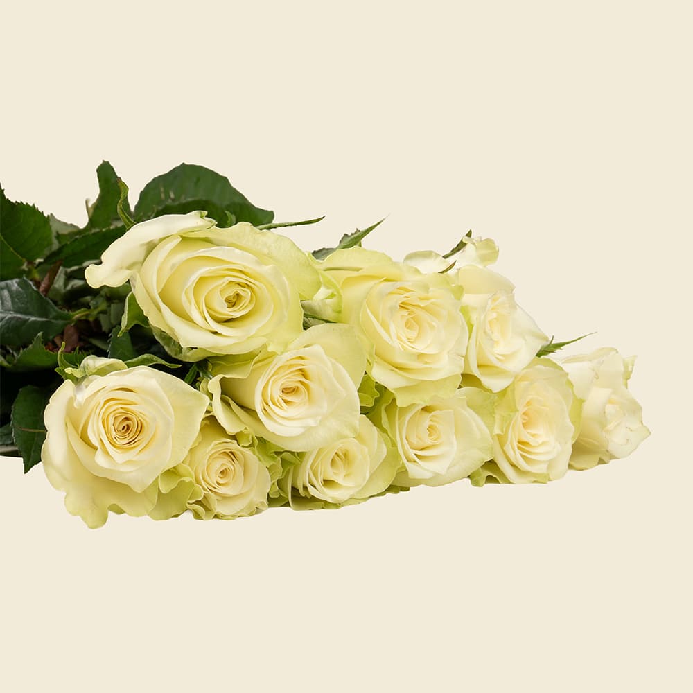 04.1 10 Off-White Roses Bunch