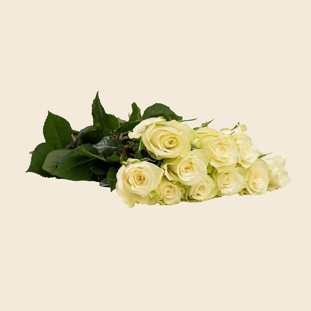 04 10 Off-White Roses Bunch