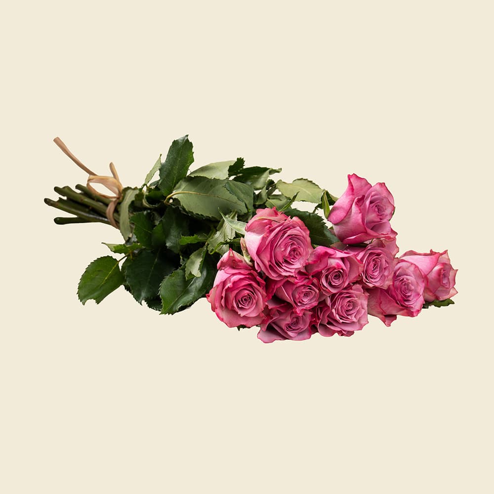 06 10 Dark Pink Roses
