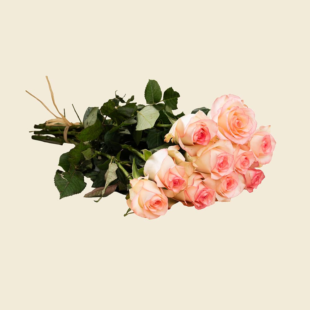 07 10 Double Pink Roses Bunch