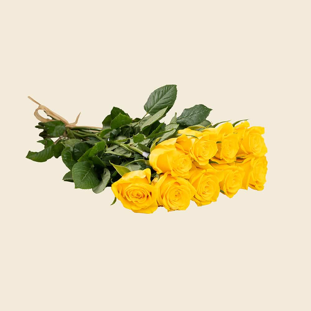 08 10 Yellow Pink Roses Bunch